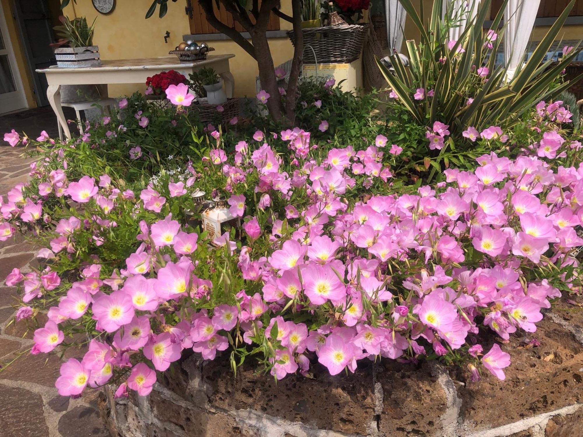 B & B Da Giusy Corte Franca Exteriér fotografie